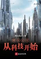 什么叫模拟公司