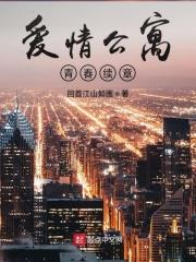 爱情公寓番外二