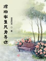 半生漂泊的诗词