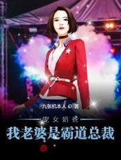 我的老婆是霸道女总裁
