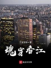 魂穿香江 兰宝宝呀