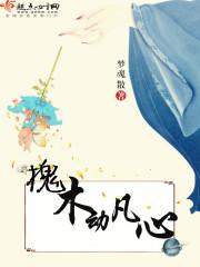 槐木是什么木材