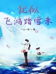任平生踏雪泥歌词