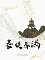 菩提诗句完整诗