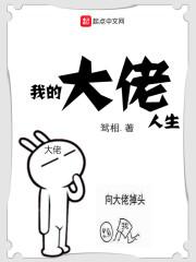 我的大佬人生TXT