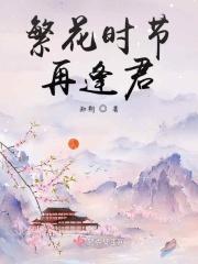 繁花飞逝又一年是什么意思