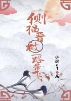 侧福晋啥意思