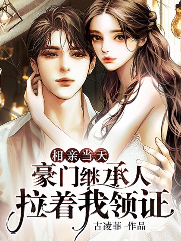 闪婚总裁宠妻无底线海彤战胤