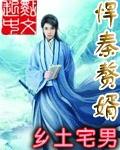 赘婿秦风免费全文阅读