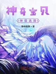 神奇宝贝神级玩家