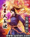 九星天辰诀叶辰叶媃