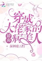 穿成大佬家的娇弱病美人txt