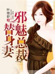 邪魅总裁替身妻第79章 拯救我崩塌的世界_166