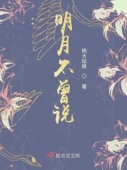 明月不见