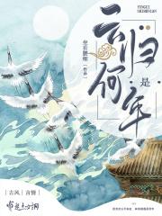 云归歌词
