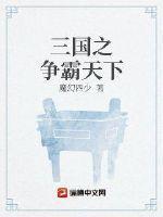 三国之争霸天下顶点
