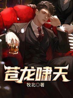 苍龙主角