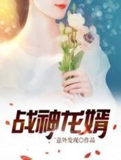 战神龙婿陆飞