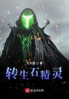 转生精灵的