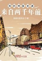 我的老婆是神医
