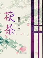 茯茶里面的金黄色的是什么