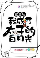 重生后我成了太子的白月光全集