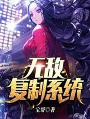 无敌复制系统 刘宁