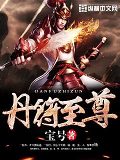 丹符至尊全文免费阅读