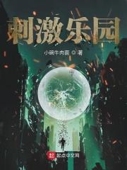 刺激游乐场项目