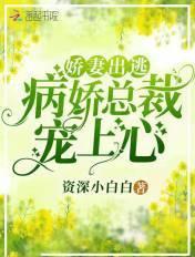 病娇总裁的宠妻日常