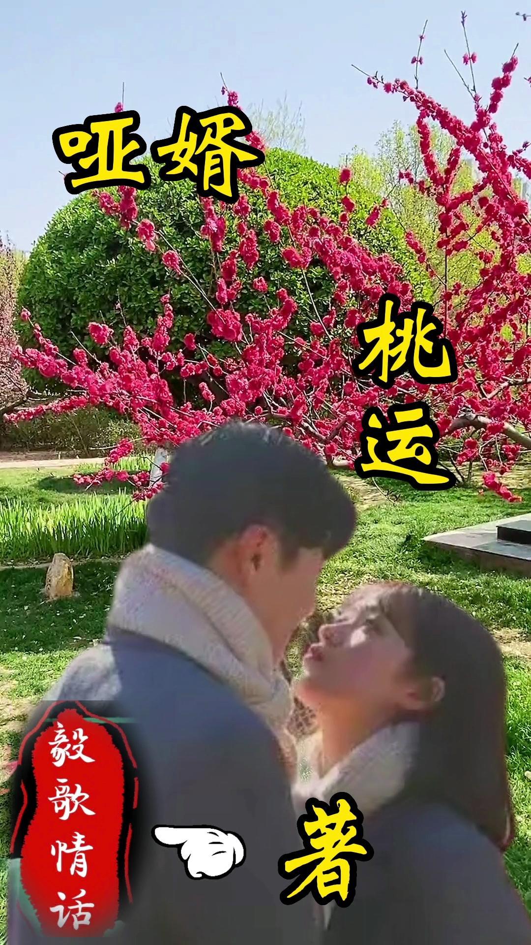 哑妻全本免费阅读无广告