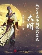 大明之少年天子飞卢