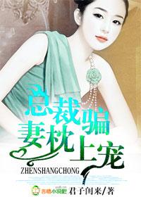 总裁骗婚前妻
