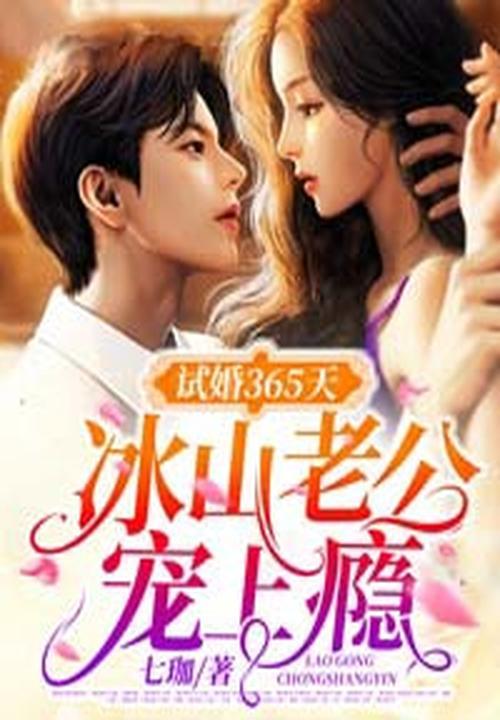 试婚365天