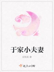 小夫家庭