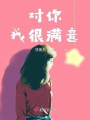 我家先生是什么意思啊